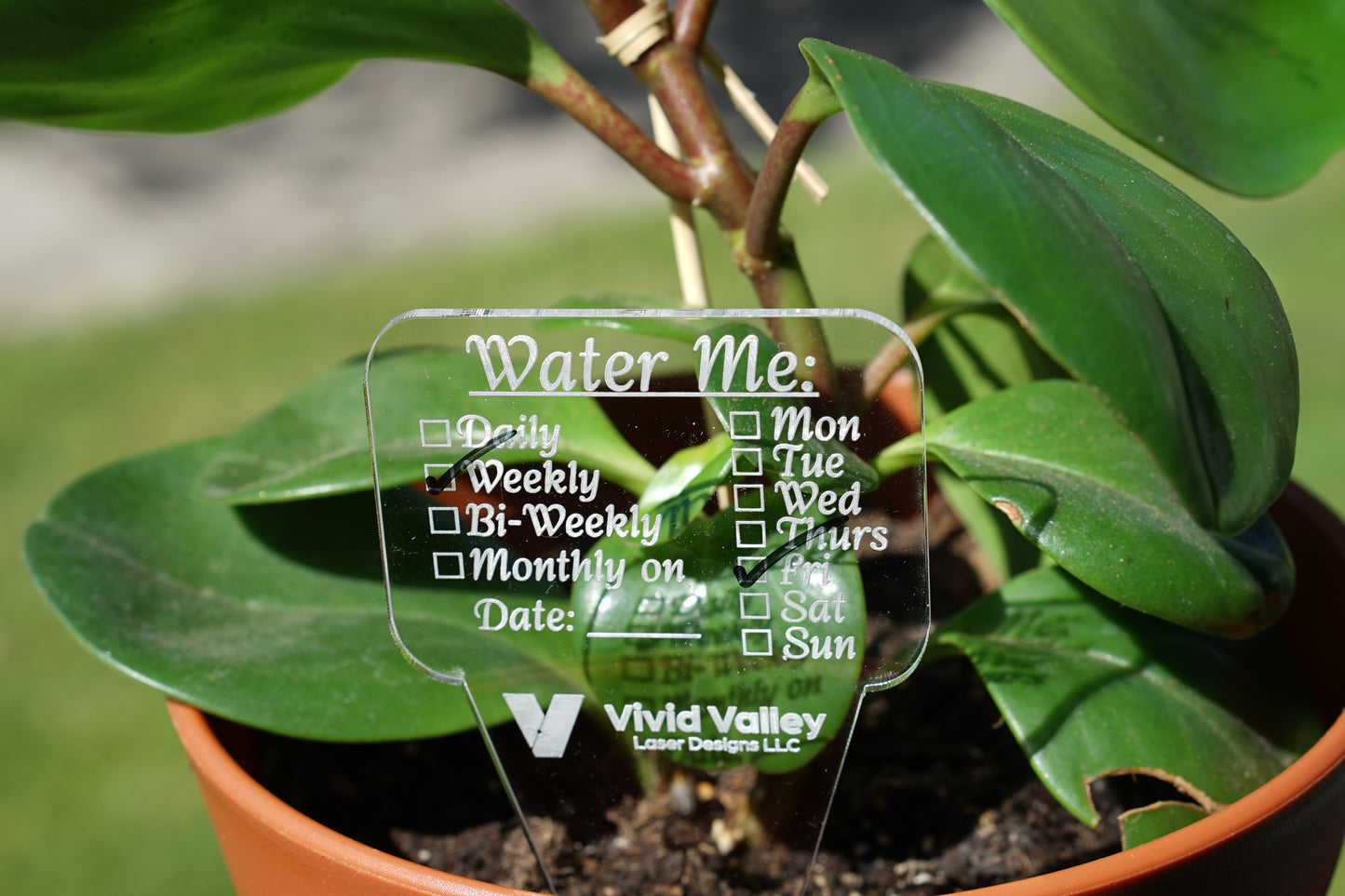 Water me acrylic plant stakes with wet erase marker to select options for the plant it sits in